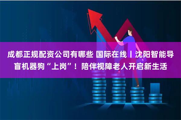 成都正规配资公司有哪些 国际在线丨沈阳智能导盲机器狗“上岗”！陪伴视障老人开启新生活