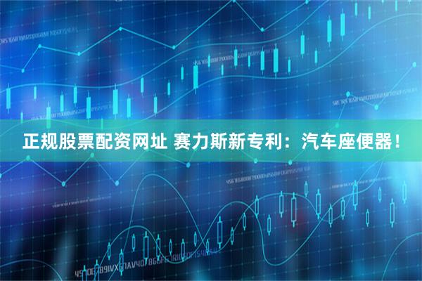 正规股票配资网址 赛力斯新专利：汽车座便器！